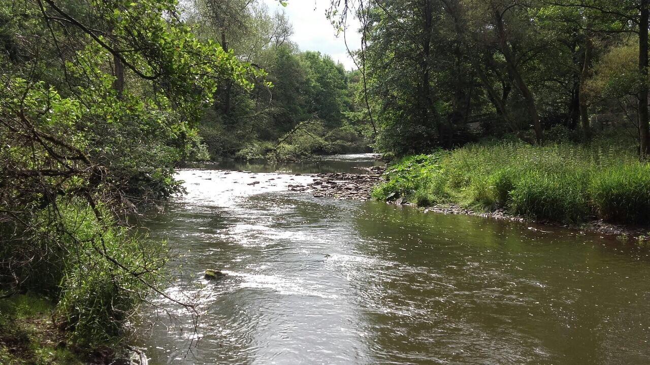 Ferienwohnungen "Am Fuerstenweg" Neuwied Extérieur photo