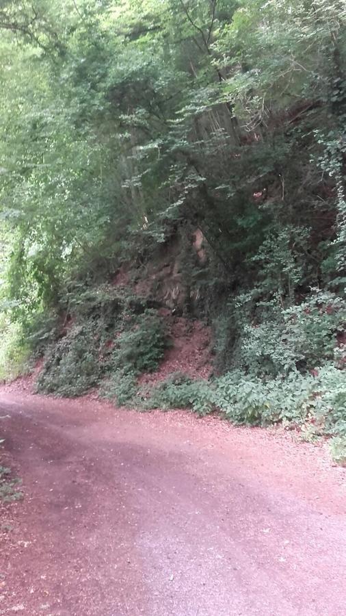 Ferienwohnungen "Am Fuerstenweg" Neuwied Extérieur photo