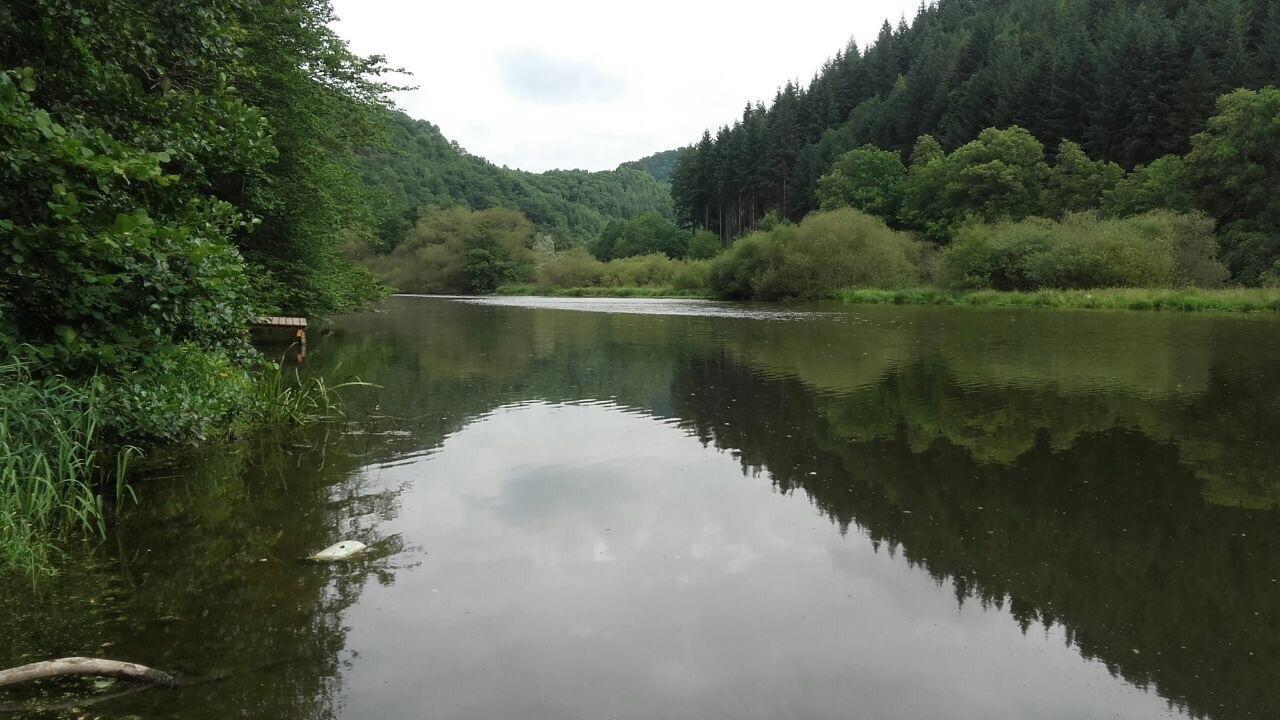 Ferienwohnungen "Am Fuerstenweg" Neuwied Extérieur photo