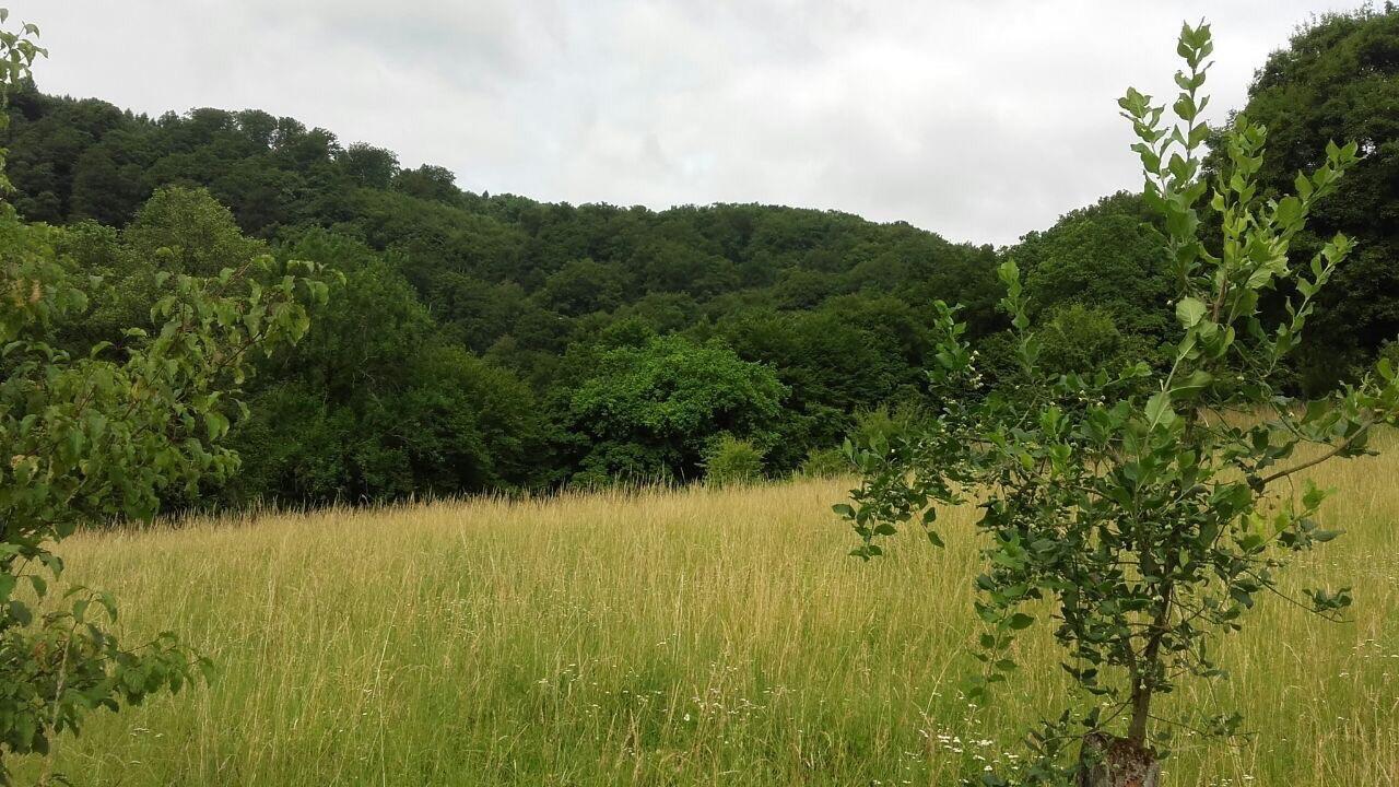 Ferienwohnungen "Am Fuerstenweg" Neuwied Extérieur photo