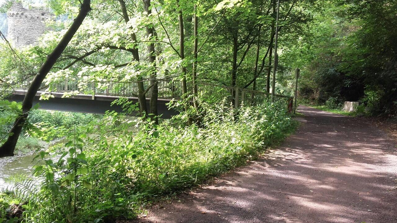 Ferienwohnungen "Am Fuerstenweg" Neuwied Extérieur photo